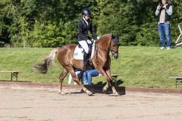 Bild 51 - Pony Akademie Turnier